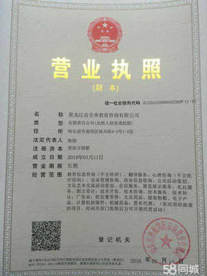深耕黑土地，服務(wù)轉(zhuǎn)型路——教育咨詢服務(wù)助力發(fā)展全解析